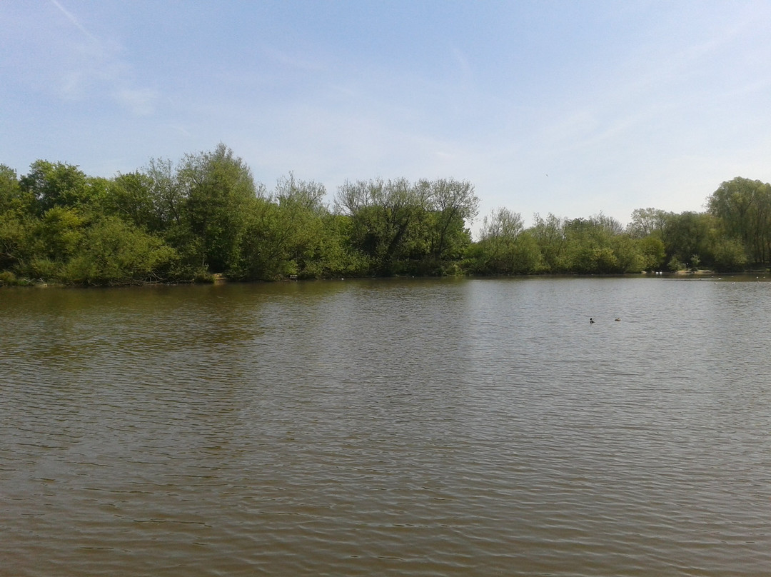 Ifield Mill Pond and Bewbush Water Gardens景点图片