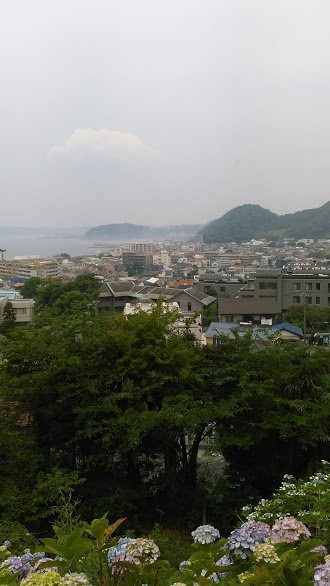 Ajisai Park景点图片