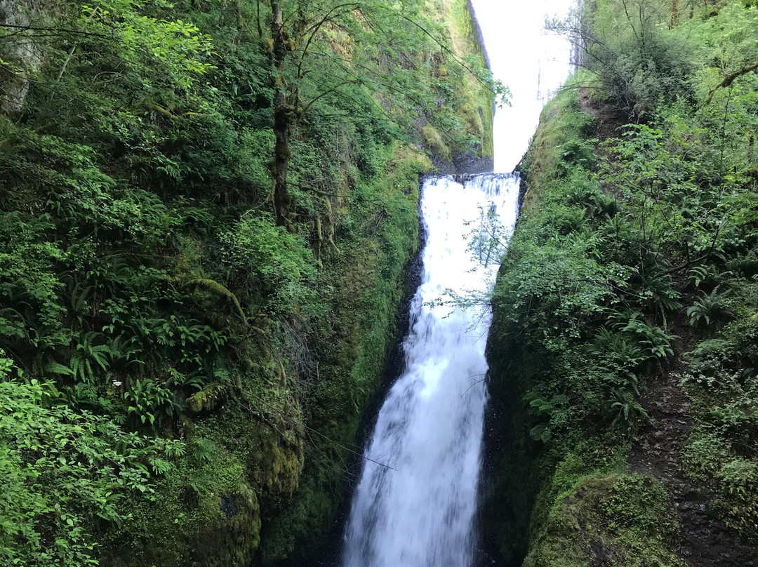 Bridal Veil Lodge主图