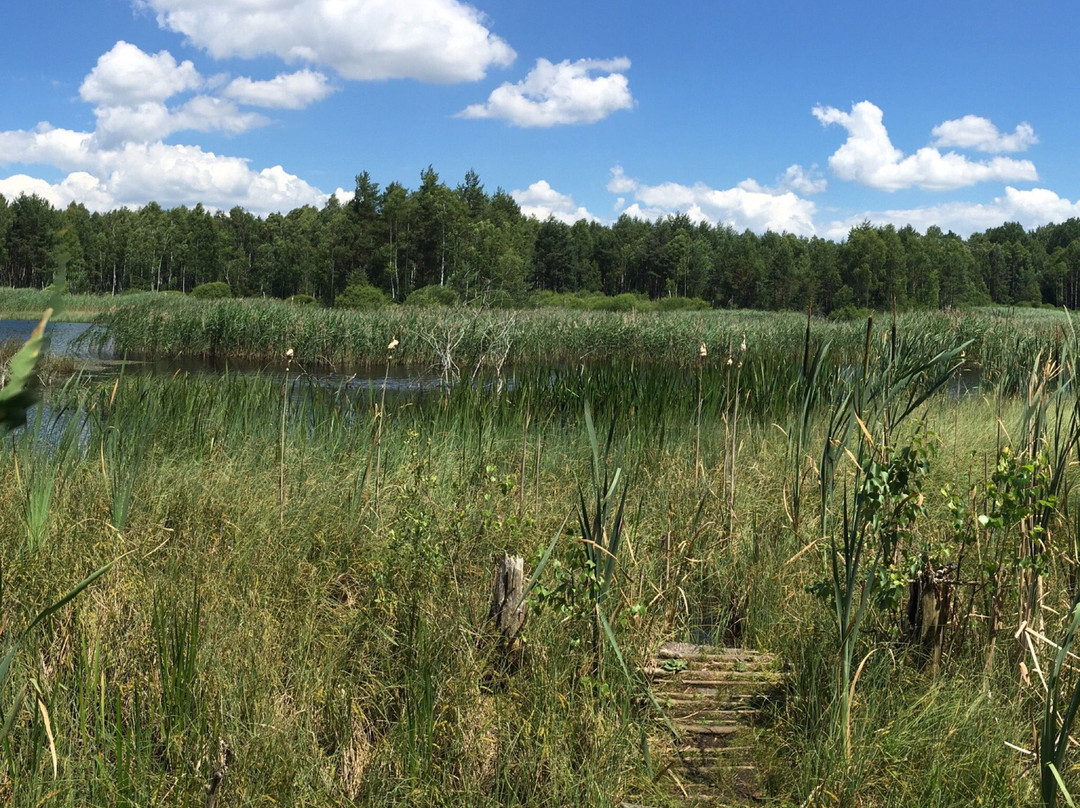 Marshland Nature Reserve Borkovicka景点图片