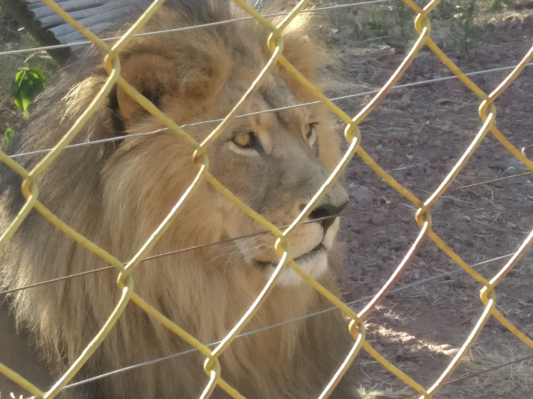 Mahala View-比勒陀利亚必去景点