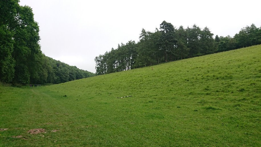 Yorkshire Wolds Way景点图片