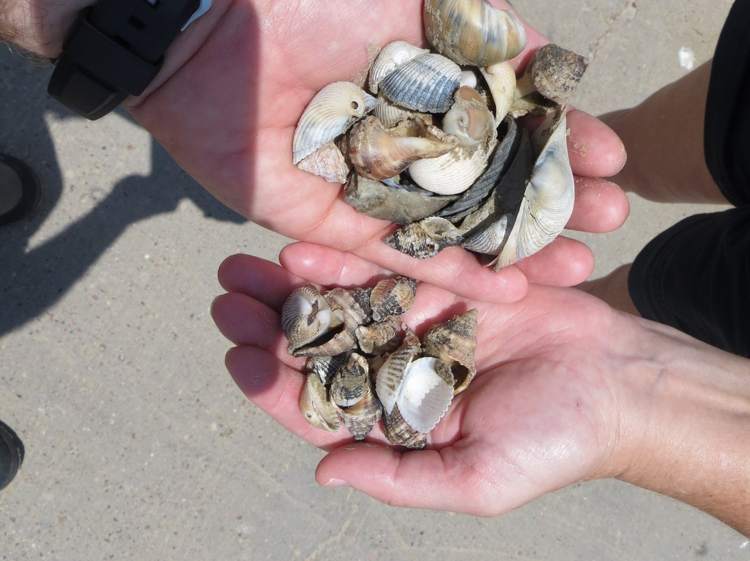 Quintana Beach-Quintana必去景点