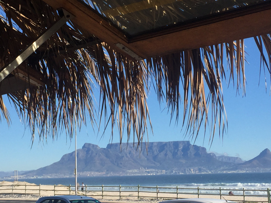 Cape Scenic Flights-开普敦必去景点