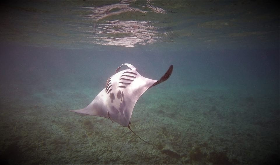 Bruce Bowker's Carib Inn主图