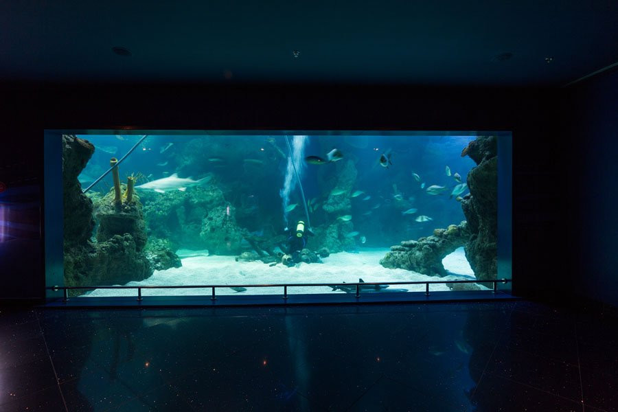 Fakieh Aquarium景点图片