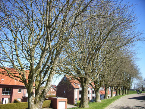 Touristen-Information Horumersiel-Horumersiel必去景点