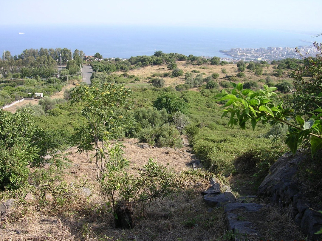 Riserva Naturale Integrale Complesso Immacolatelle e Micio Conti景点图片