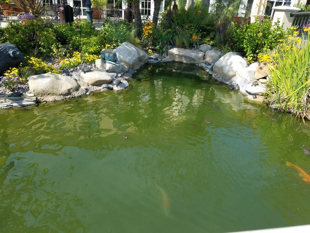 Village Walk at Eastlake-丘拉维斯塔必去景点