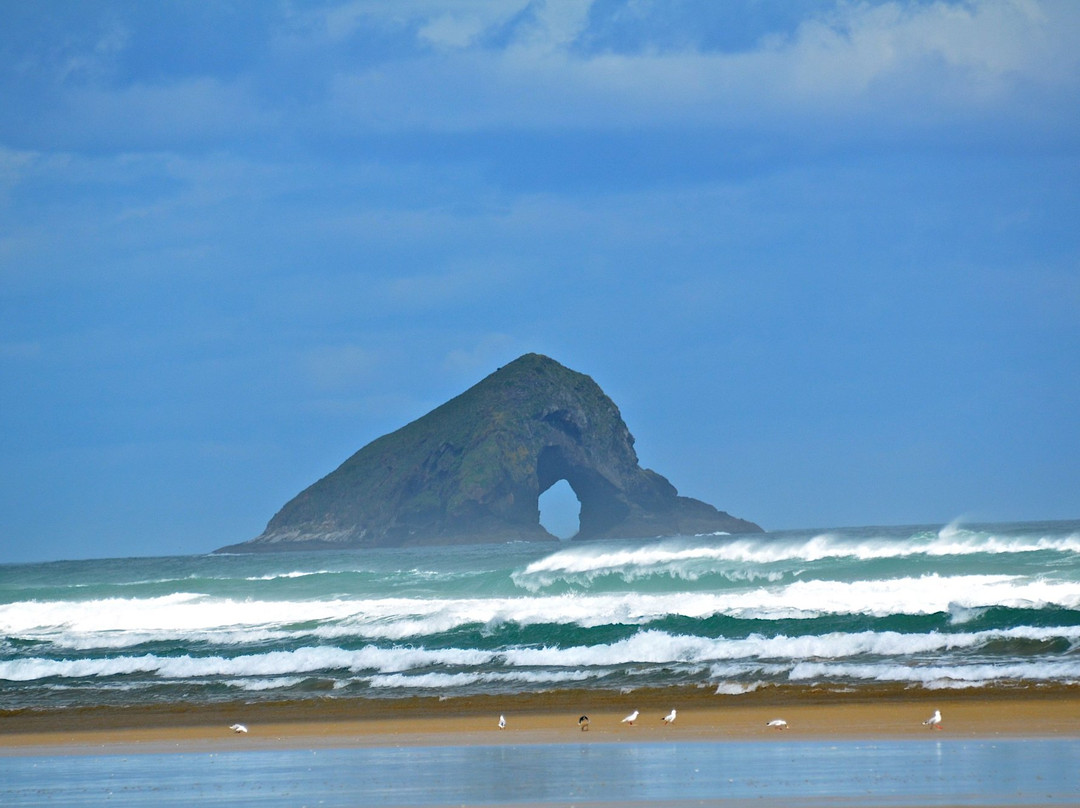 Cape Reinga Adventures Day Tours景点图片