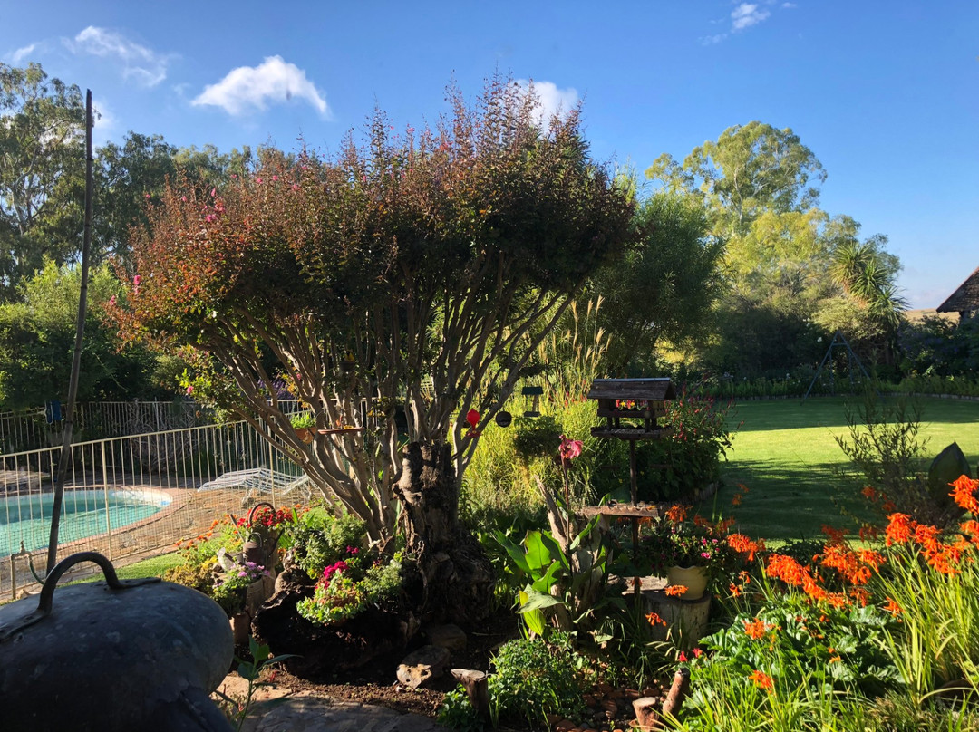 Garingboom Guest Farm主图