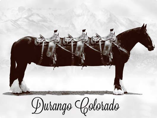 Buck Horn Limousine-杜兰戈必去景点