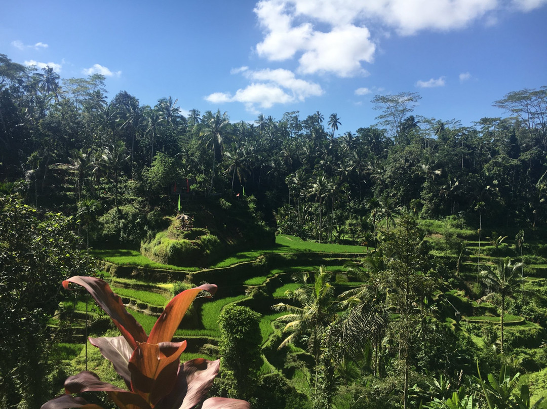Bali Exclusive Experience景点图片