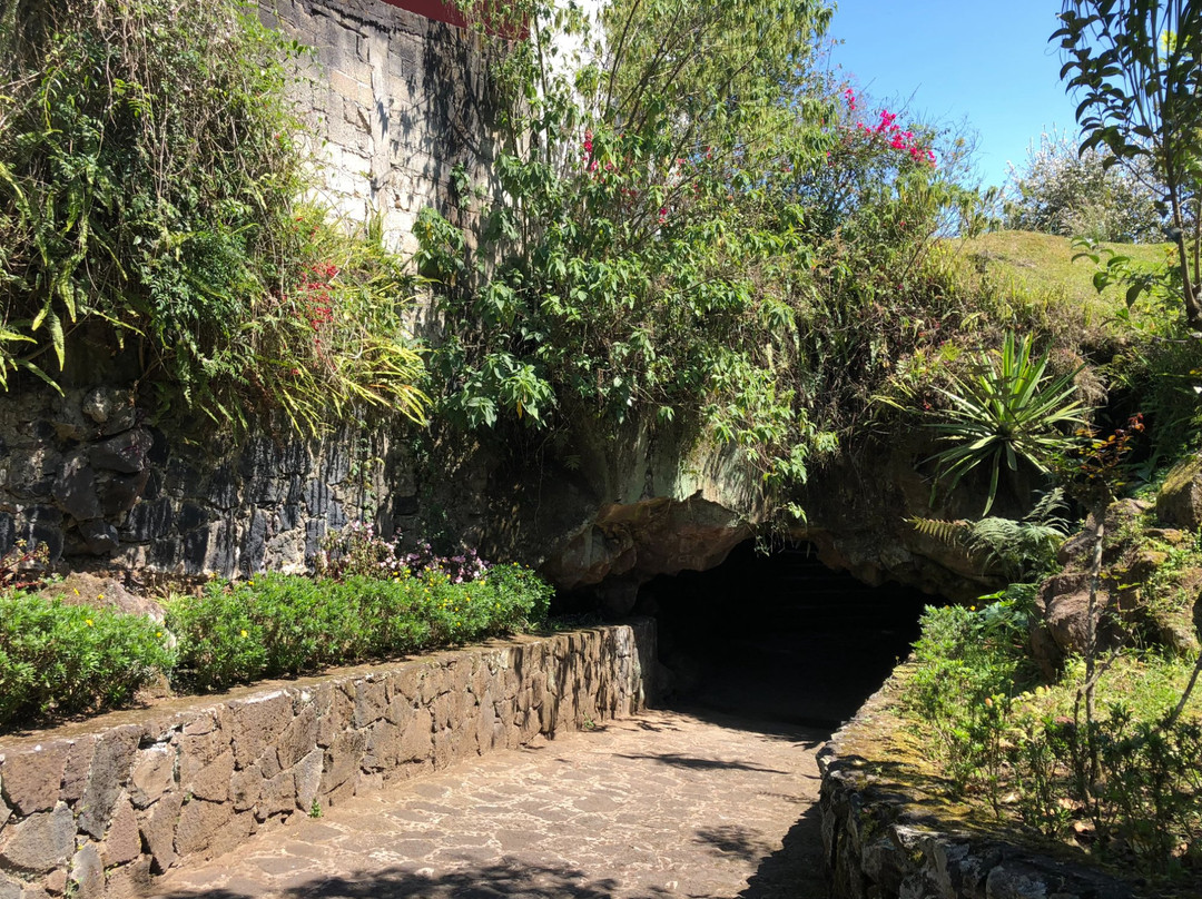 LA Cueva de la Orquidea-哈拉帕必去景点