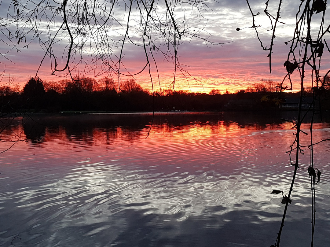 Cosmeston Lakes Country Park景点图片