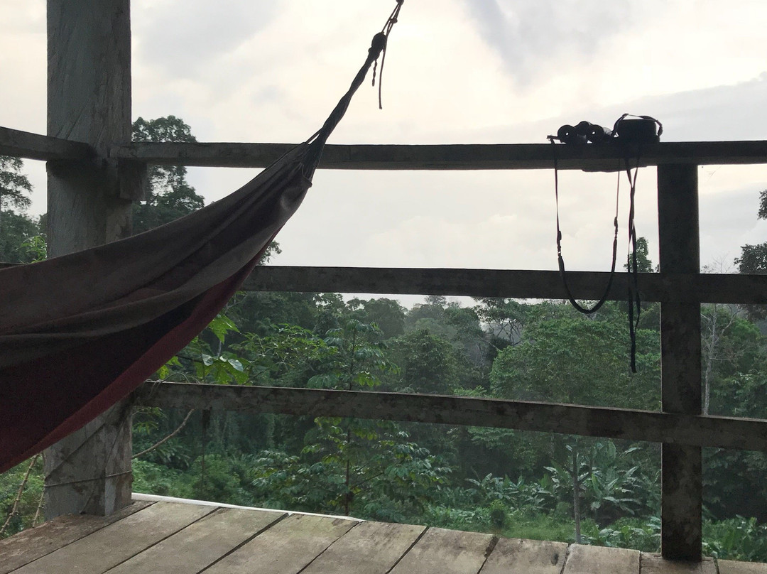 Piro Jungla Conservation Ecotours