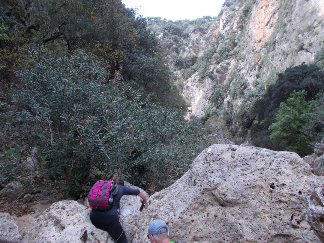Diktamos Gorge-Katochori必去景点