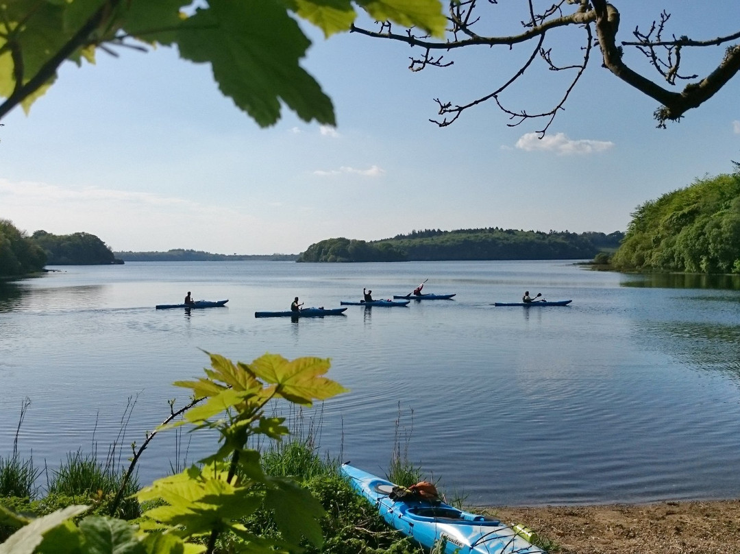 Sligo Kayak Tours景点图片