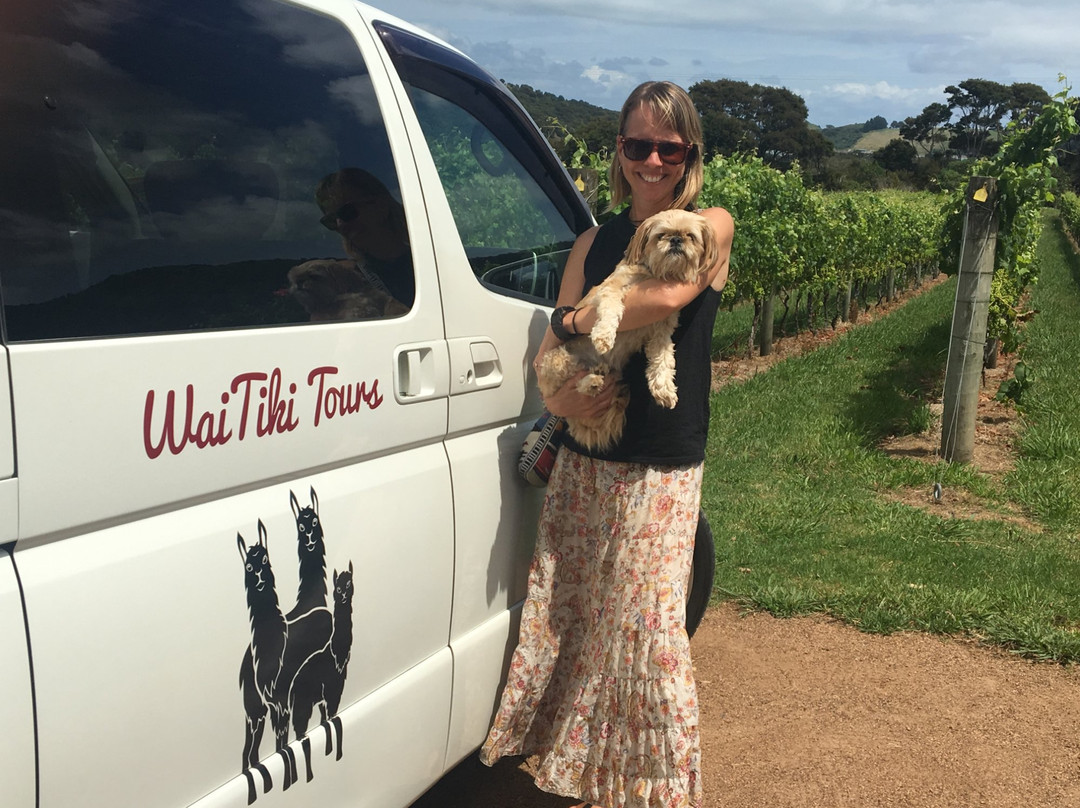 WaiTiki Tours-怀系奇岛必去景点