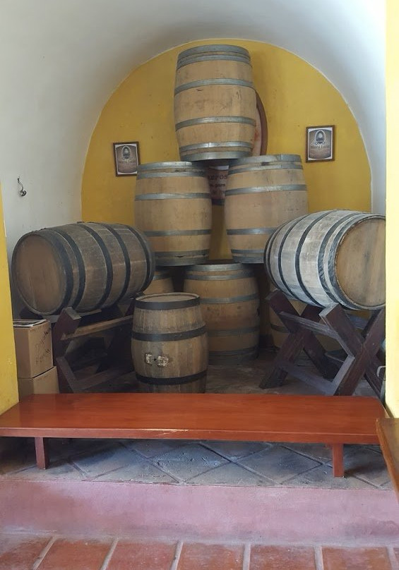 Tequila Mama Lucia-Mismaloya必去景点