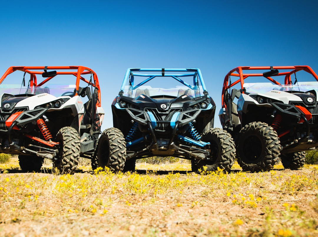 OUI Experience LLC-Dolan Springs必去景点