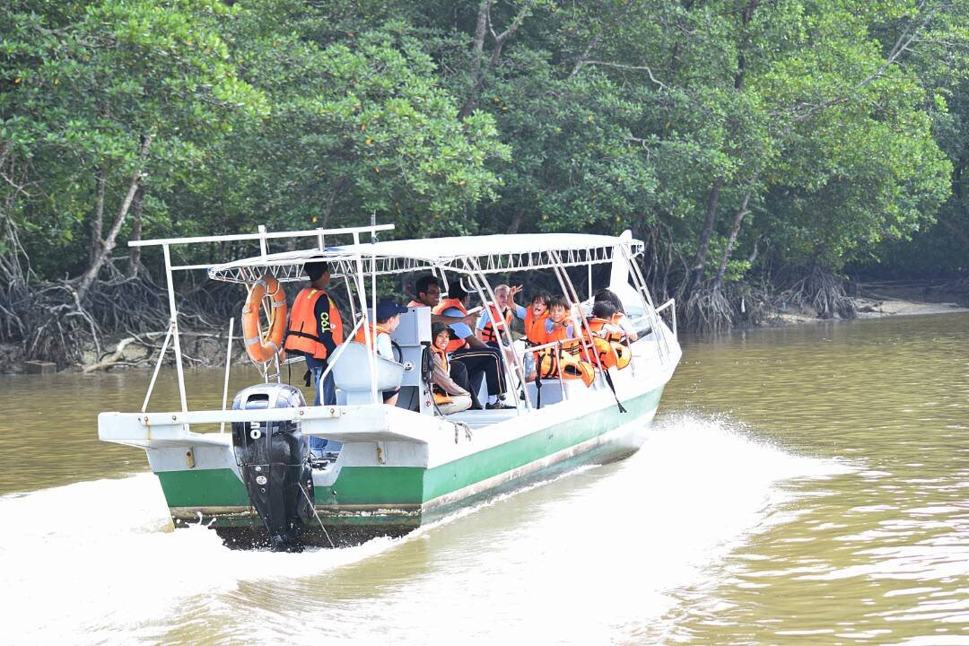 Matang Mangrove Forest Reserve景点图片