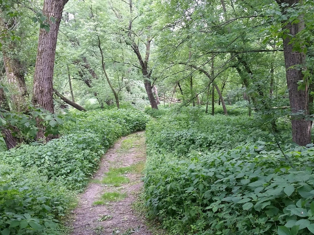Creek Park-Dodge Center必去景点