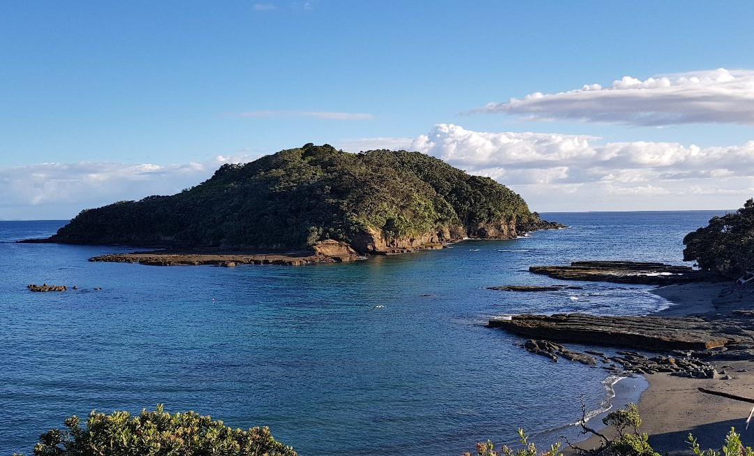 Goat Island Dive & Snorkel景点图片