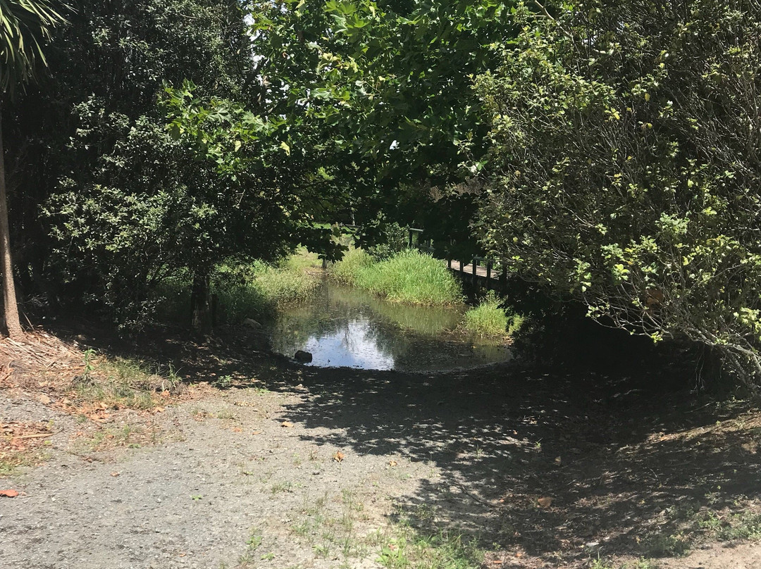 Matakana Country Park-马塔卡纳小镇必去景点