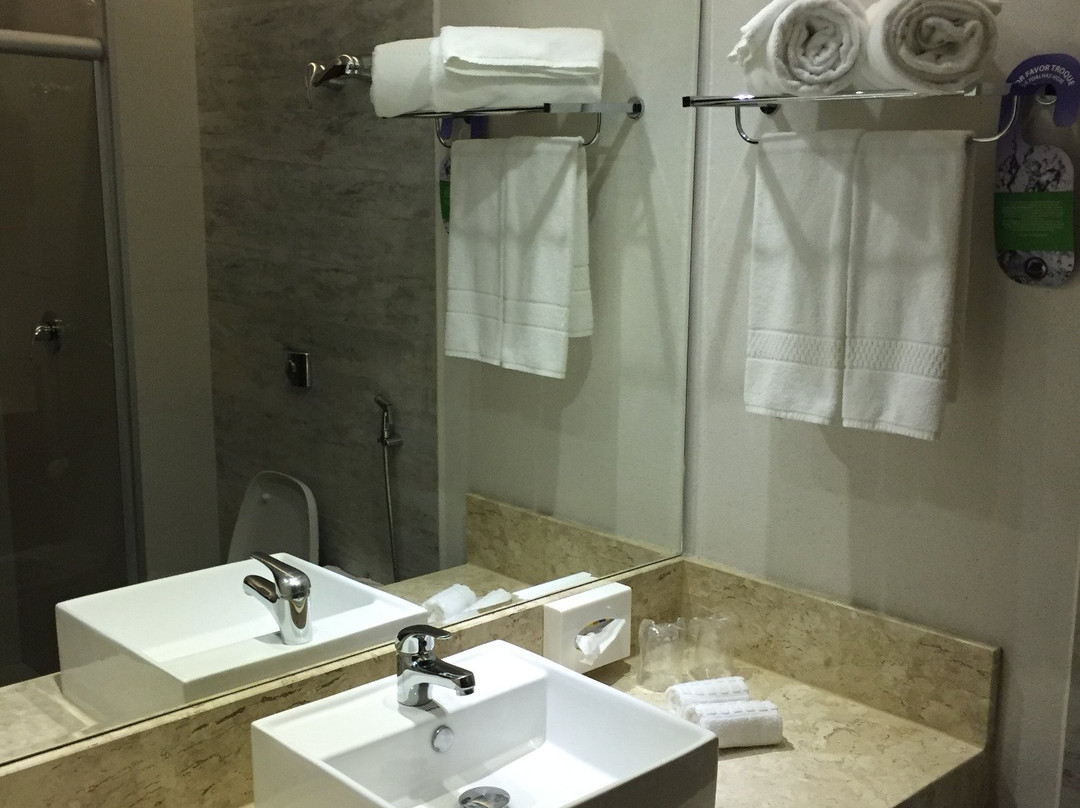 Holiday Inn Goiania By IHG主图