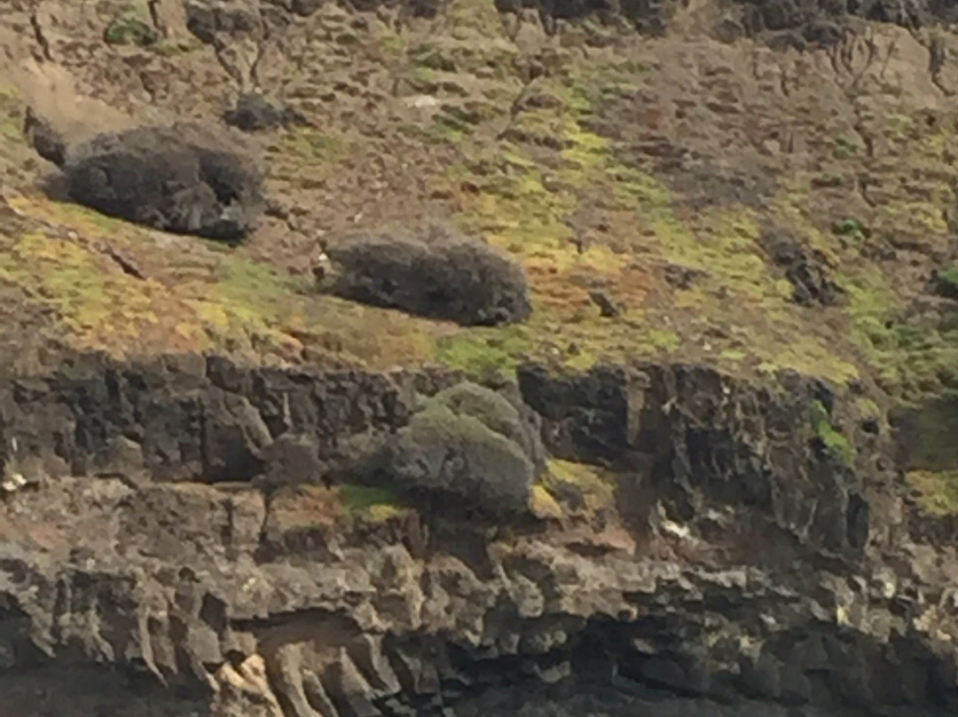 Seal Rock景点图片