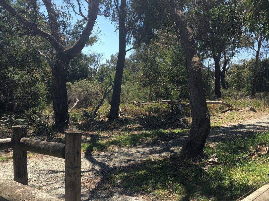 Colley st Bushland Reserve景点图片