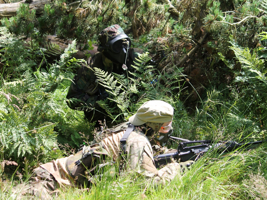 All Arms Airsoft-Rishton必去景点