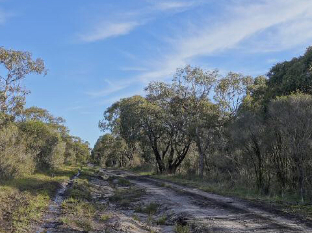 Adams Creek Conservation Reserve-Nyora必去景点