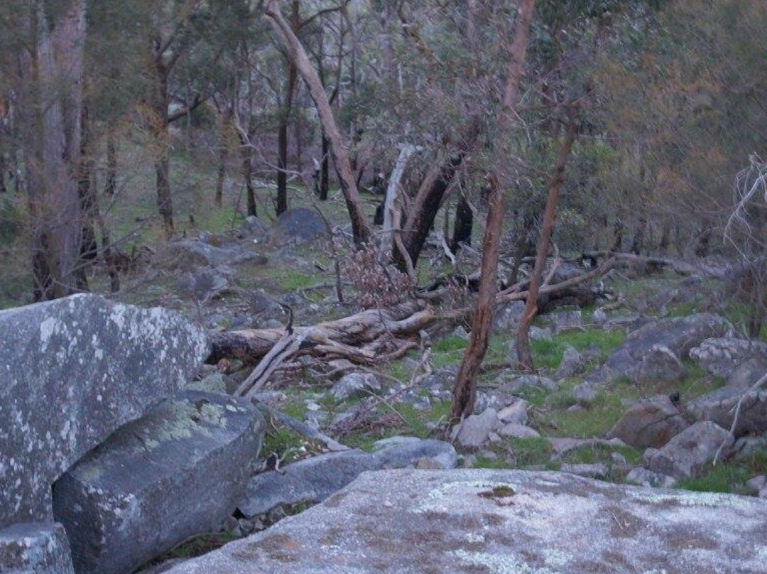 Mount Alexander-Harcourt必去景点