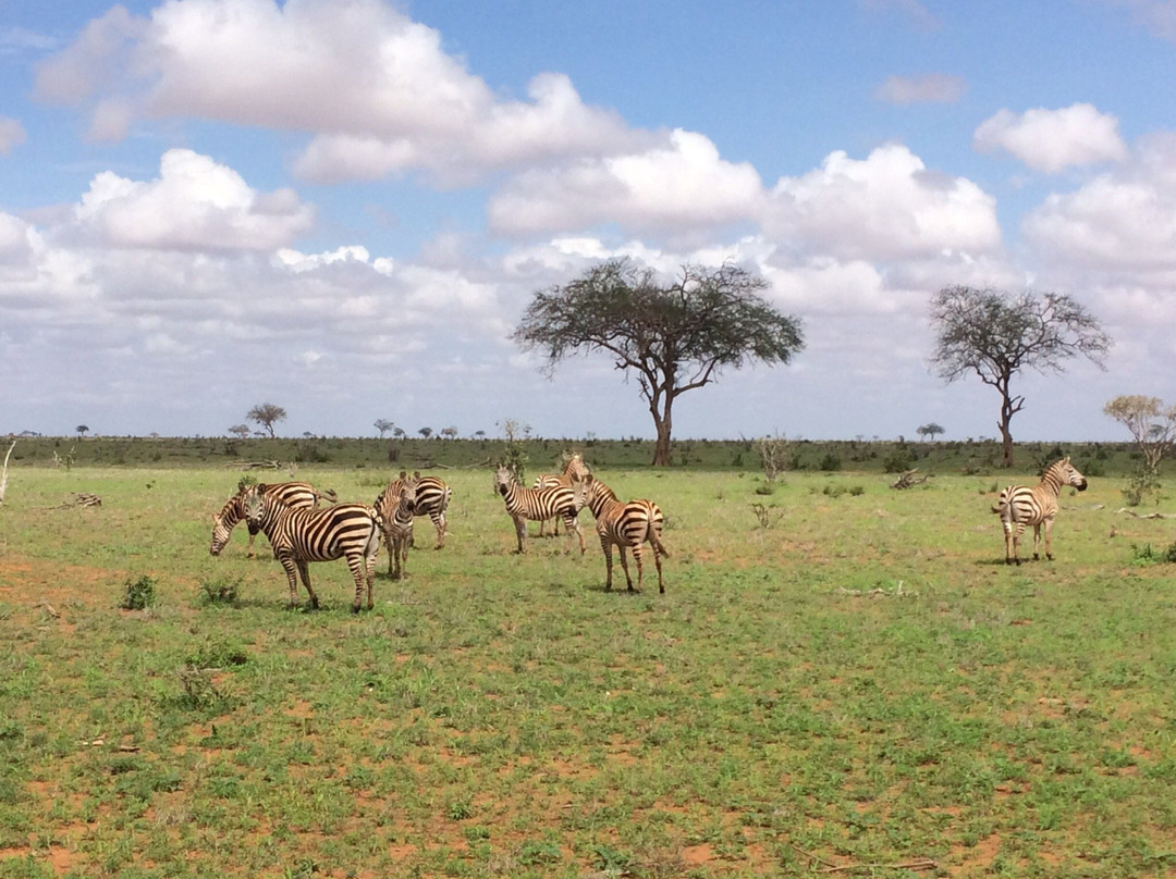 Agenzia Safari Vera Africa-东察沃国家公园必去景点