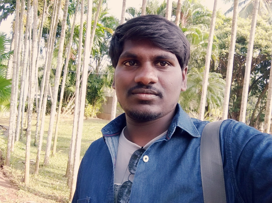 Biju Patnaik Park景点图片