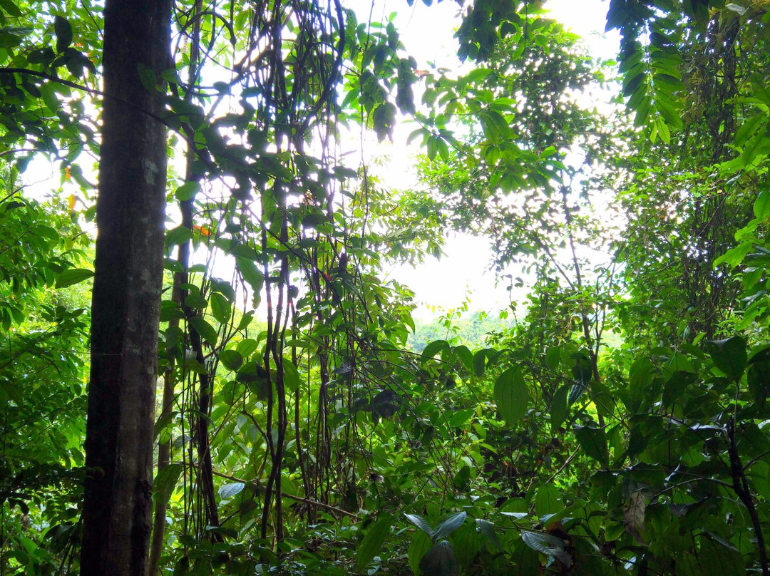 Sentier de la Mirande-Matoury必去景点