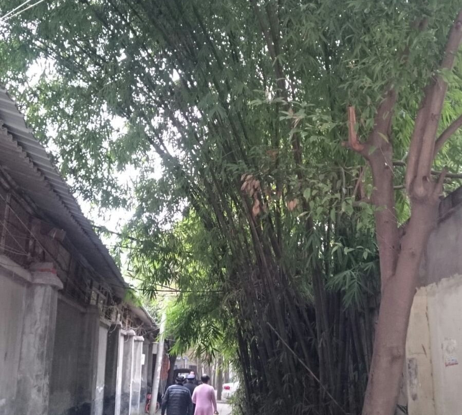 双流机场名康酒店主图