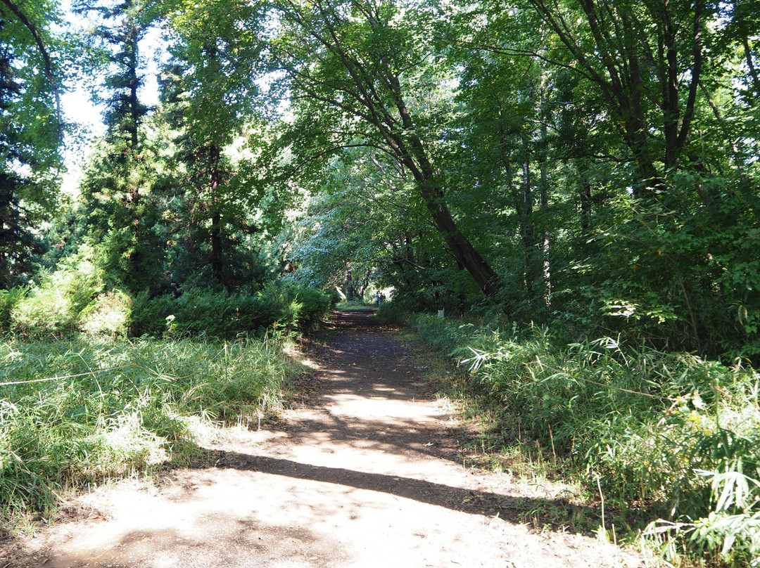 The University of Tokyo, Tanashi Forest-西东京市必去景点