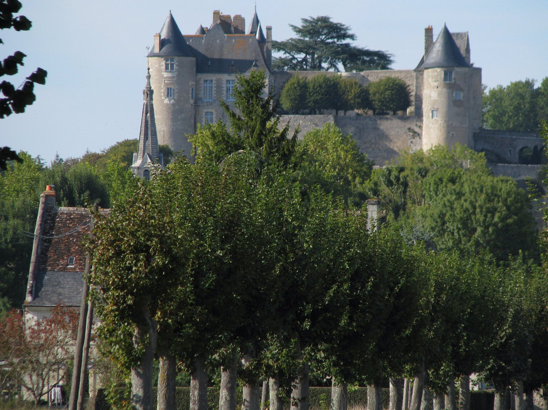 Chateau de Luynes景点图片