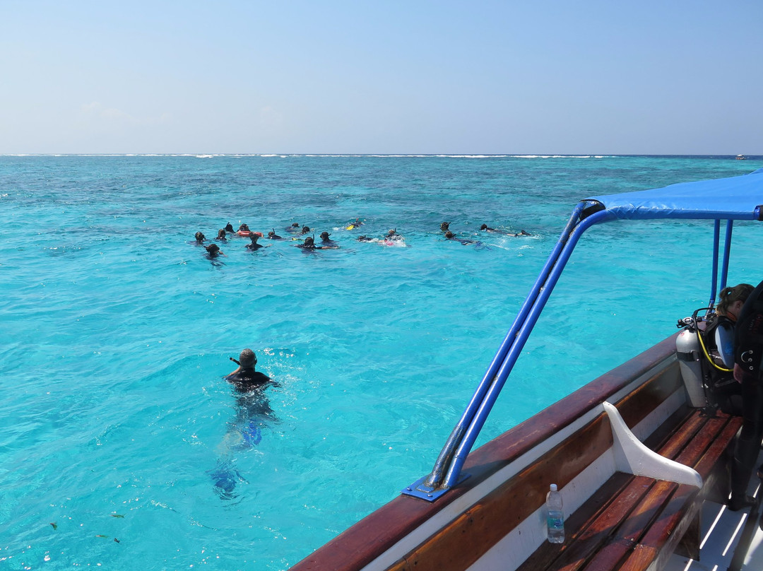 The Zanzibar Dive Centre, One Ocean-基万嘎必去景点