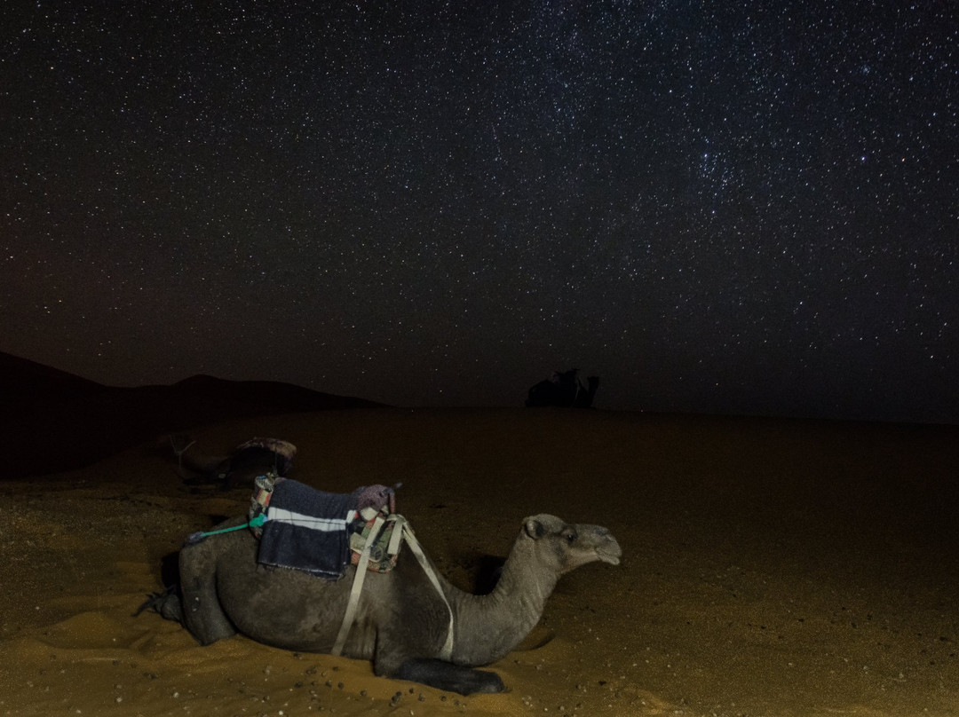 Scoprire il Marocco-马拉喀什必去景点