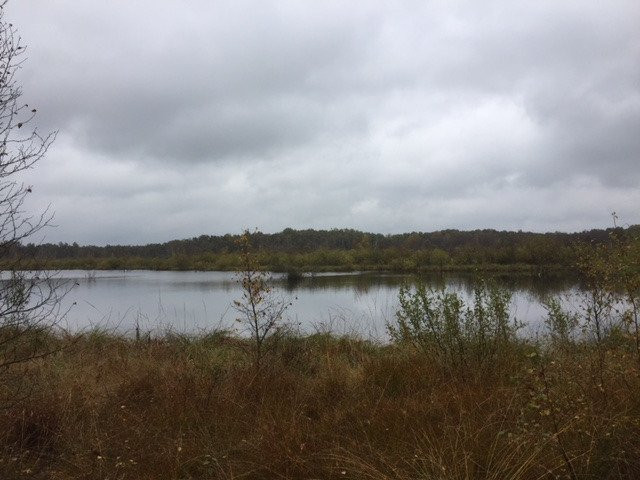 Tarbeker Moor-Tensfeld必去景点