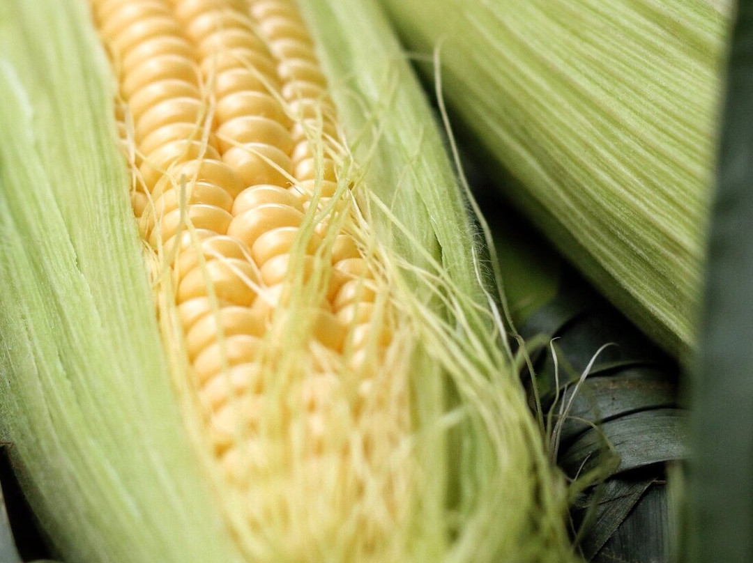 Regina Farmers' Market-里贾纳必去景点