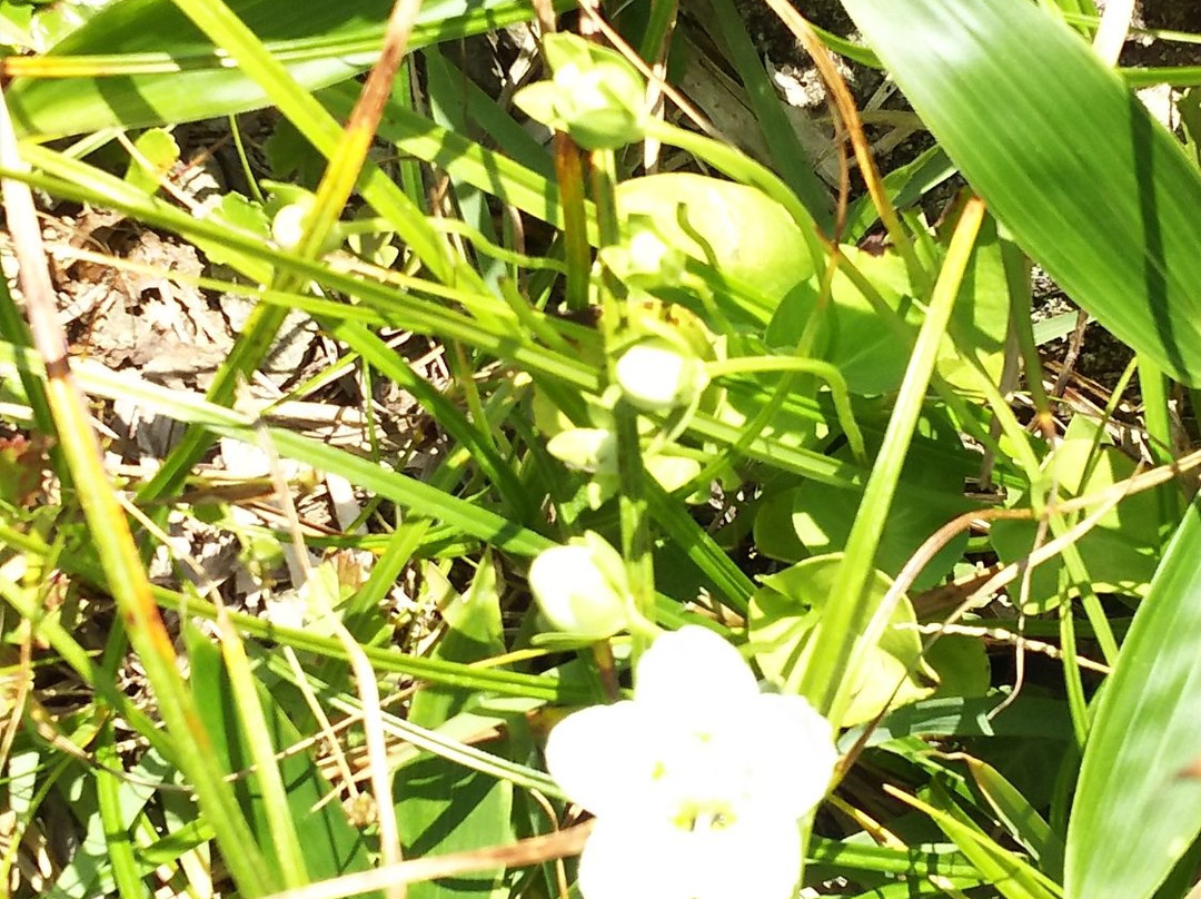 Mt. Dogo-庄原市必去景点