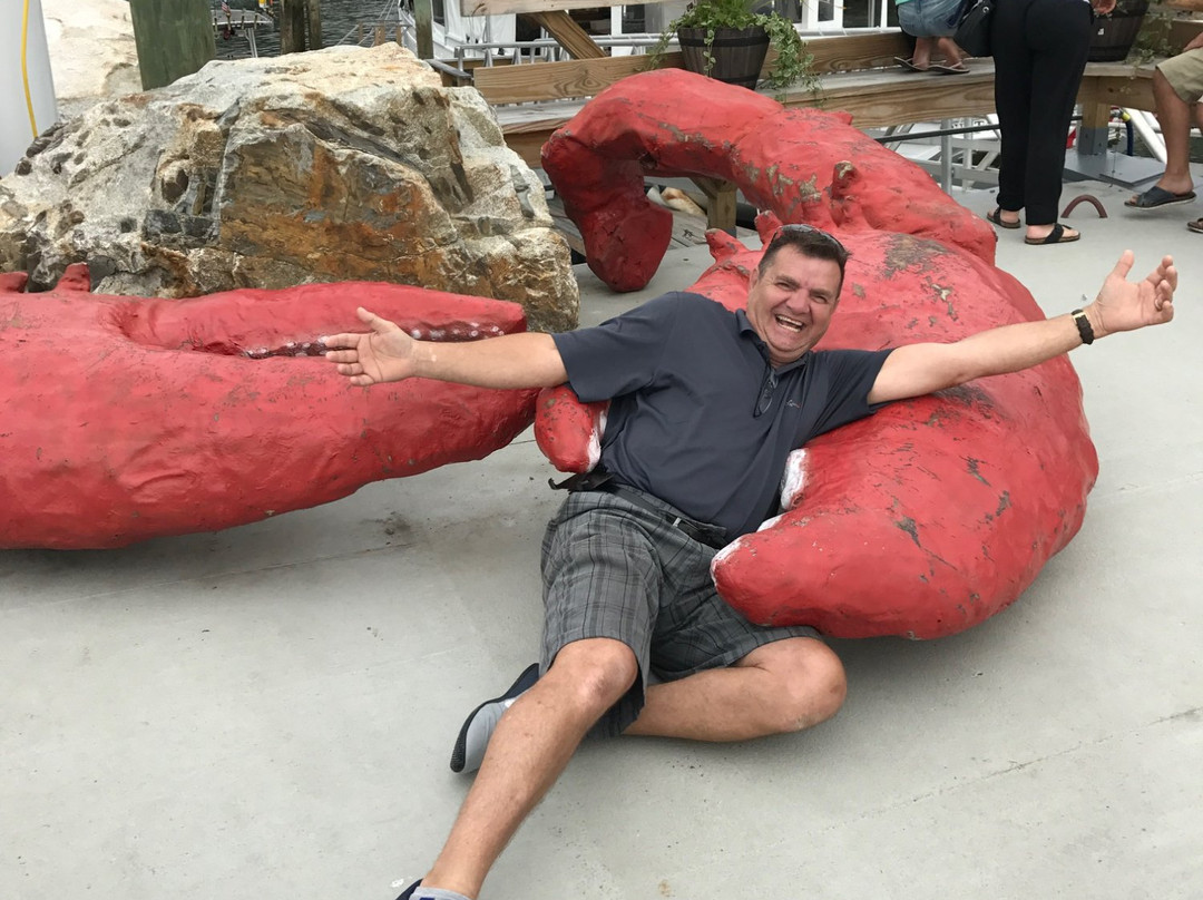 Maine Foodie Tours景点图片