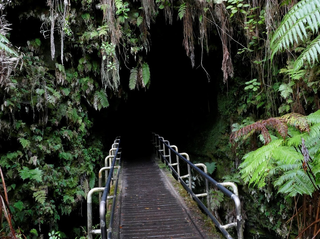 瑟斯顿熔岩隧道-夏威夷火山国家公园必去景点