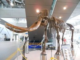 3M Sendai Science Museum-仙台市必去景点