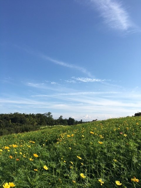 Hanadaka Tenbo Hananooka景点图片